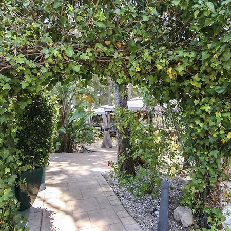 Boutique Mr Palau Verd - Adults Only Отель 3*