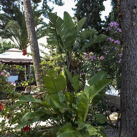 Hotel Boutique Mr Palau Verd - Adults Only Denia