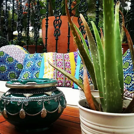 Boutique Mr Palau Verd - Adults Only Hotel Denia