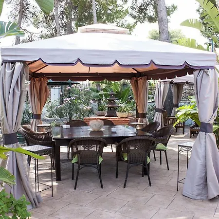 Boutique Mr Palau Verd - Adults Only ホテル 3*