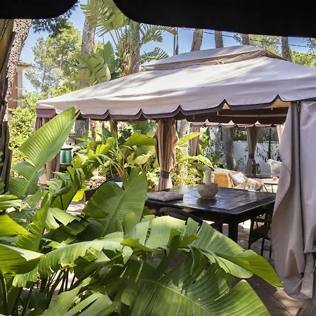 Отель Boutique Mr Palau Verd - Adults Only