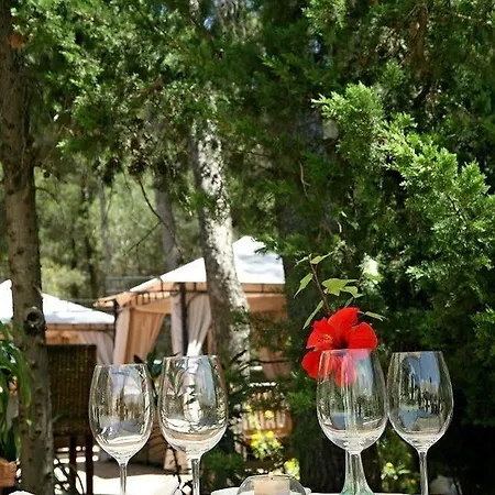Отель Boutique Mr Palau Verd - Adults Only Дения