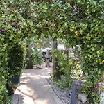 Boutique Mr Palau Verd - Adults Only Otel 3*